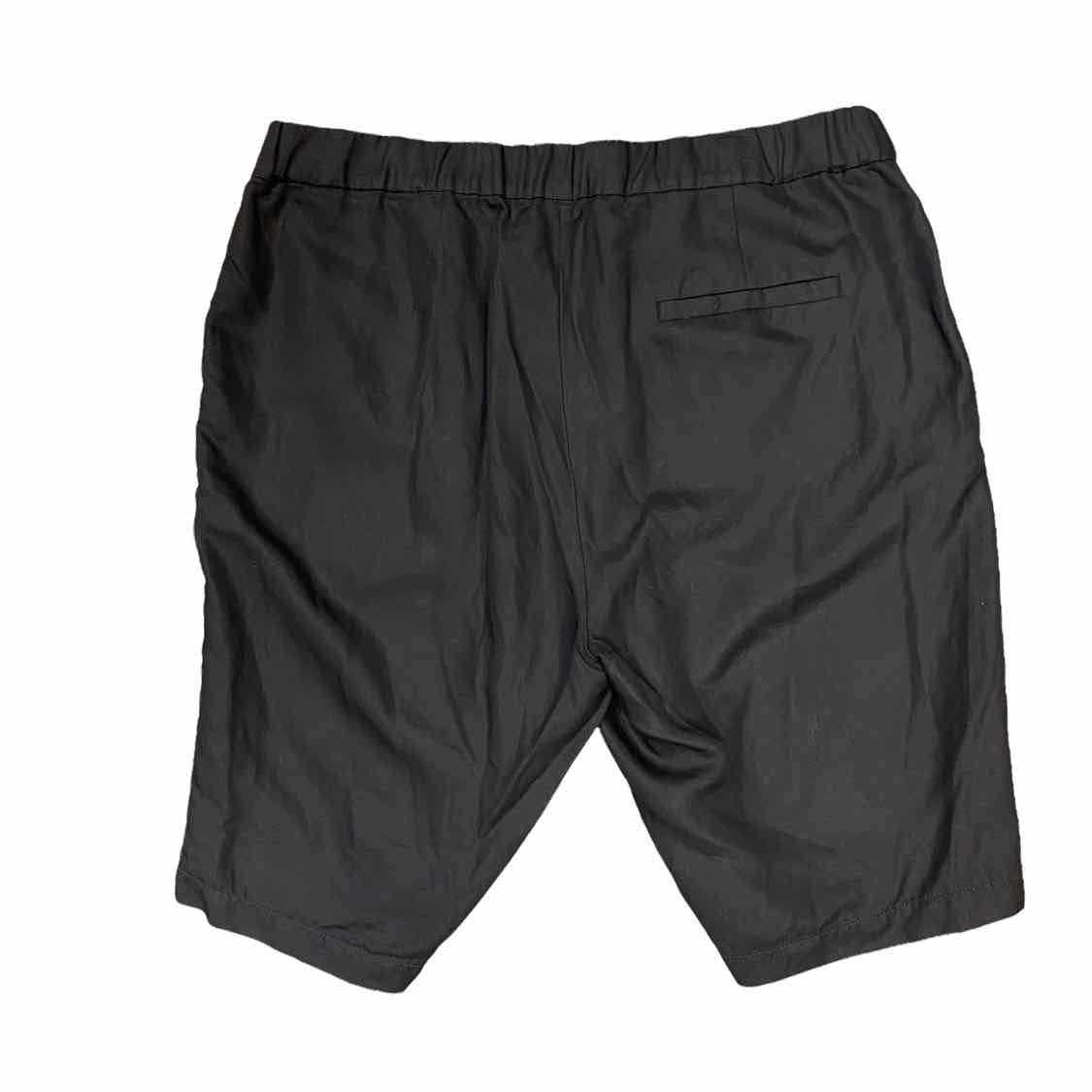 Eileen Fisher Size 12 Shorts